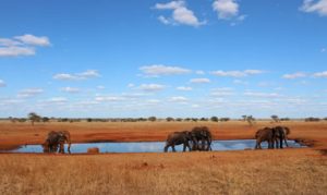 3 Days Tsavo East and Amboseli