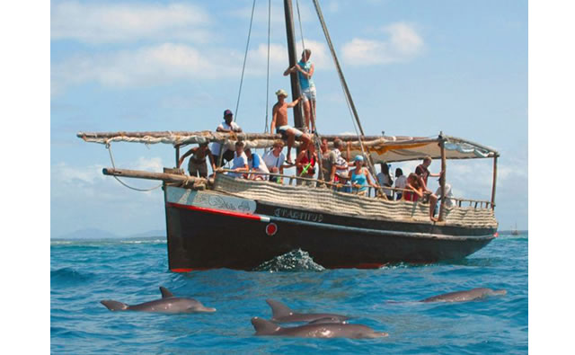 Wasini Dolphin trip