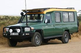 Saltlick and Amboseli